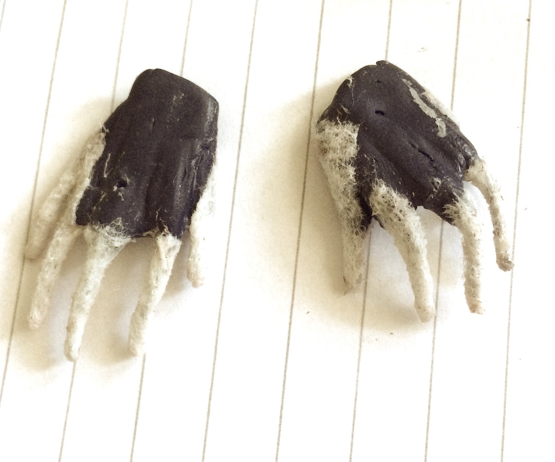 Modelling thin hands with raised bones
