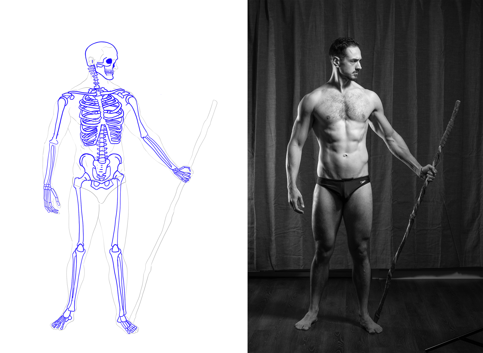 Bones