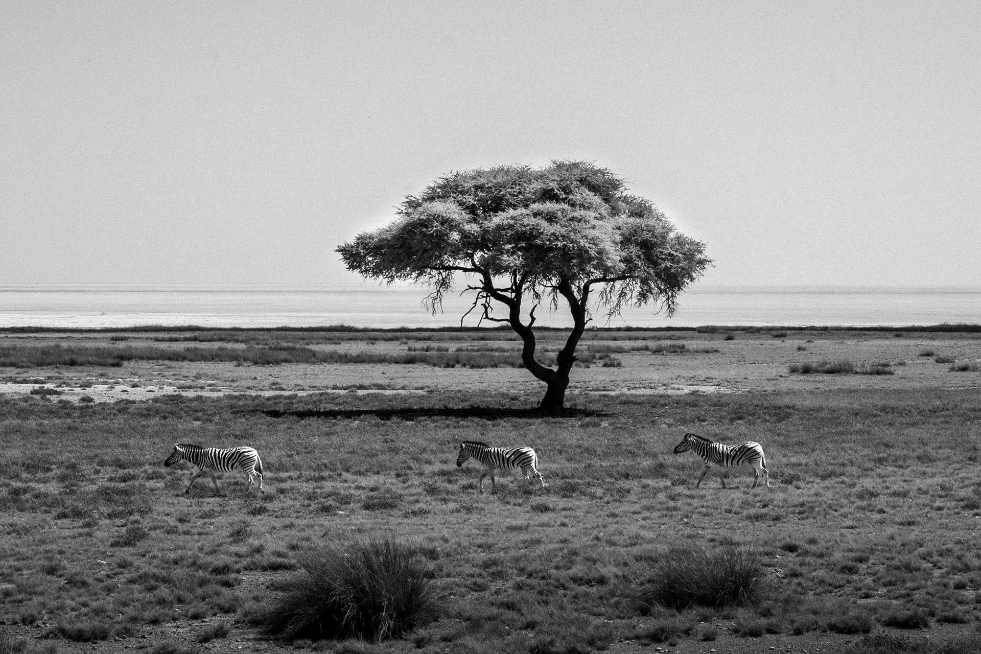 Wycieczka Grupowa, Namibia - Fotoreportaż