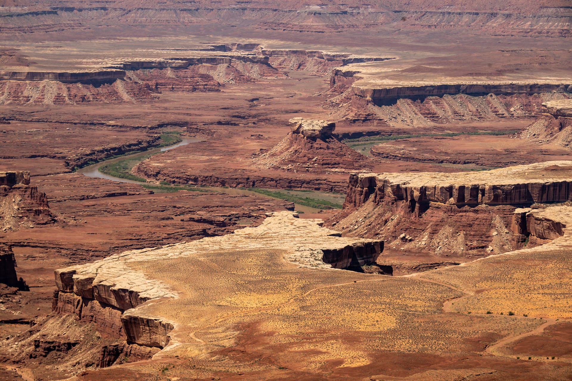 The Colorado and Green rivers wind through the heart of Canyonlands, cutting through layered sandstone to form two deep canyons. In stark contrast to the hot, sunny desert above, the river corridors are remarkably green, shady, and full of life.