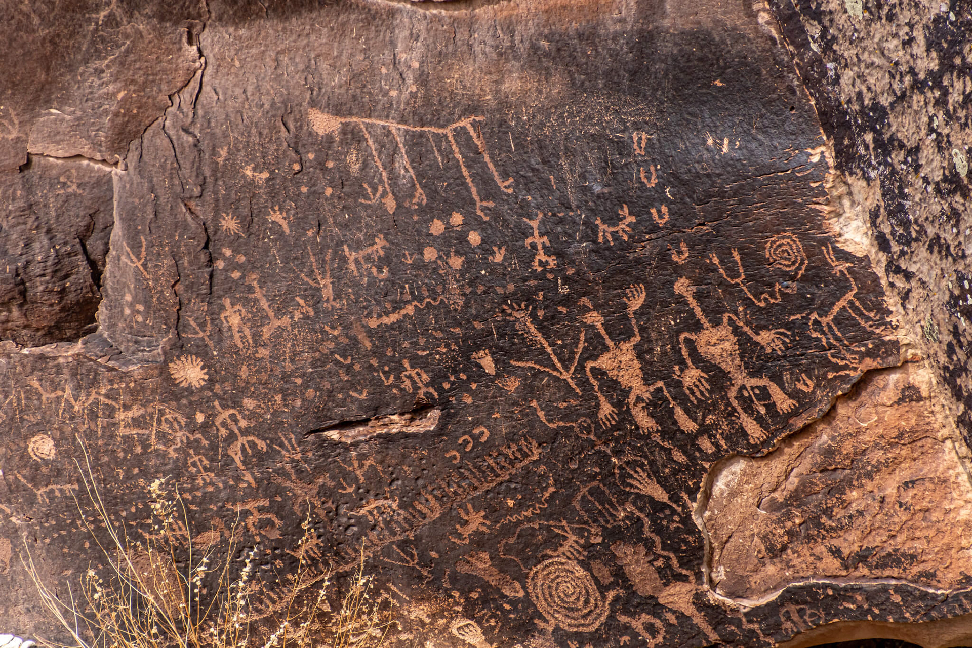 The park has several sites containing petroglyphs, but the largest concentration can be found at Newspaper Rock.