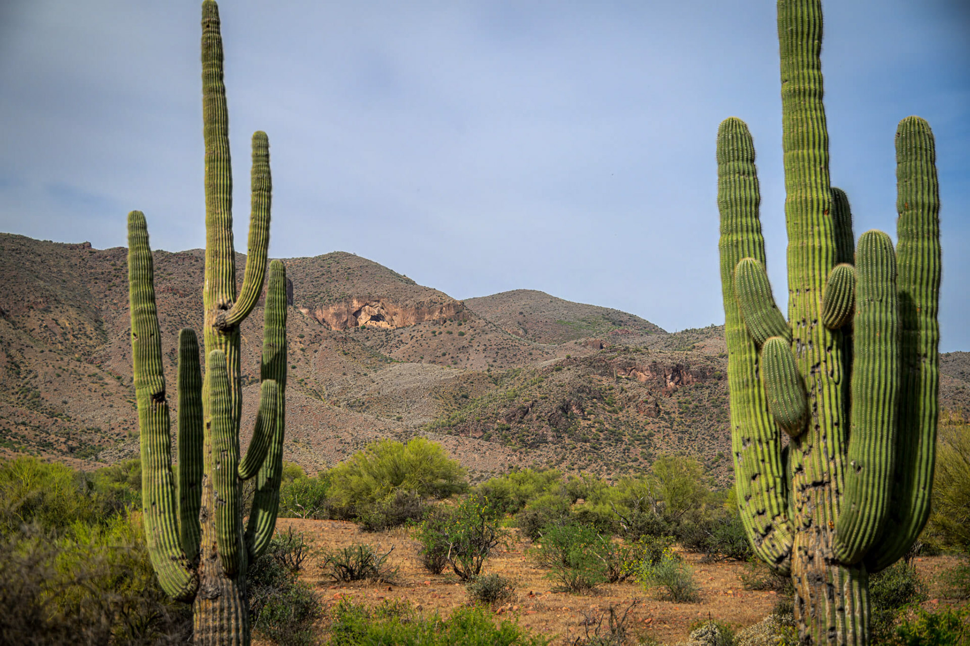 The initial view of the cliff dwellings from the road.