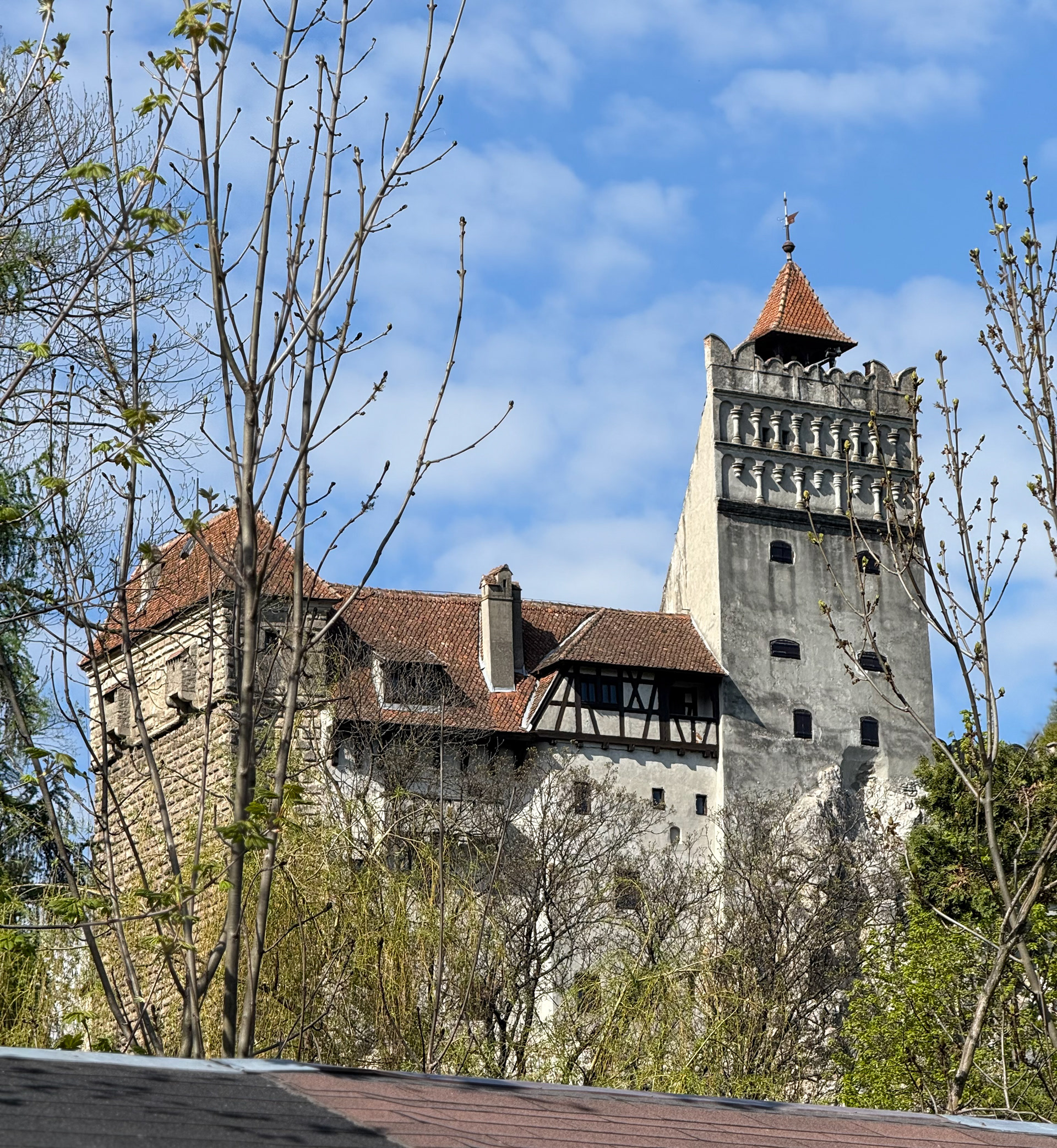 Dracula's castle