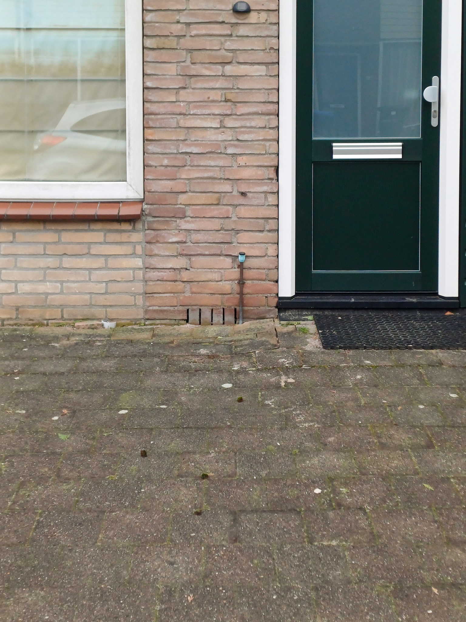 Tegels