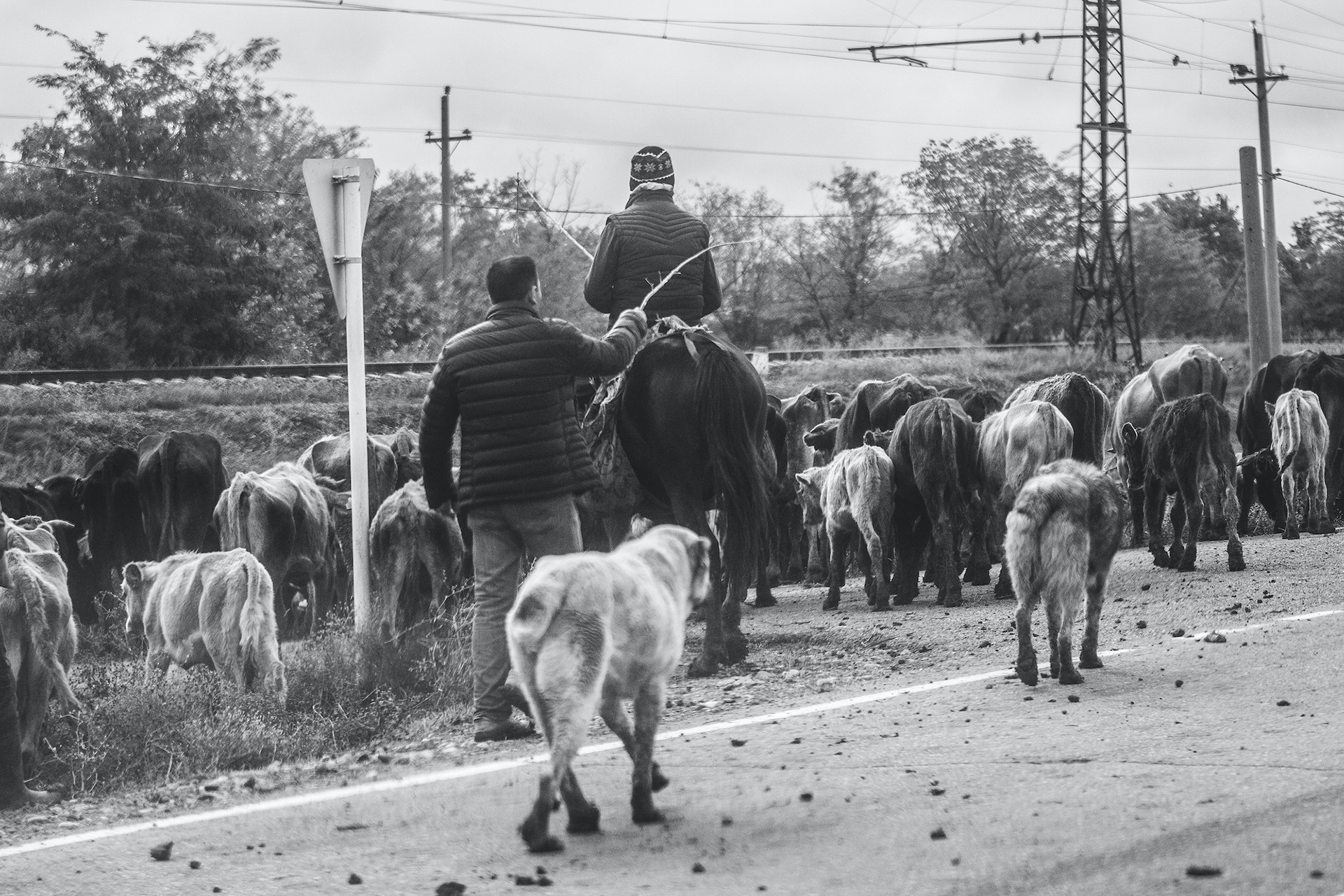 fot. Szymon Konieczny © Colorblind 2017 - Droga Tbilisi-Erywań - Gruzja