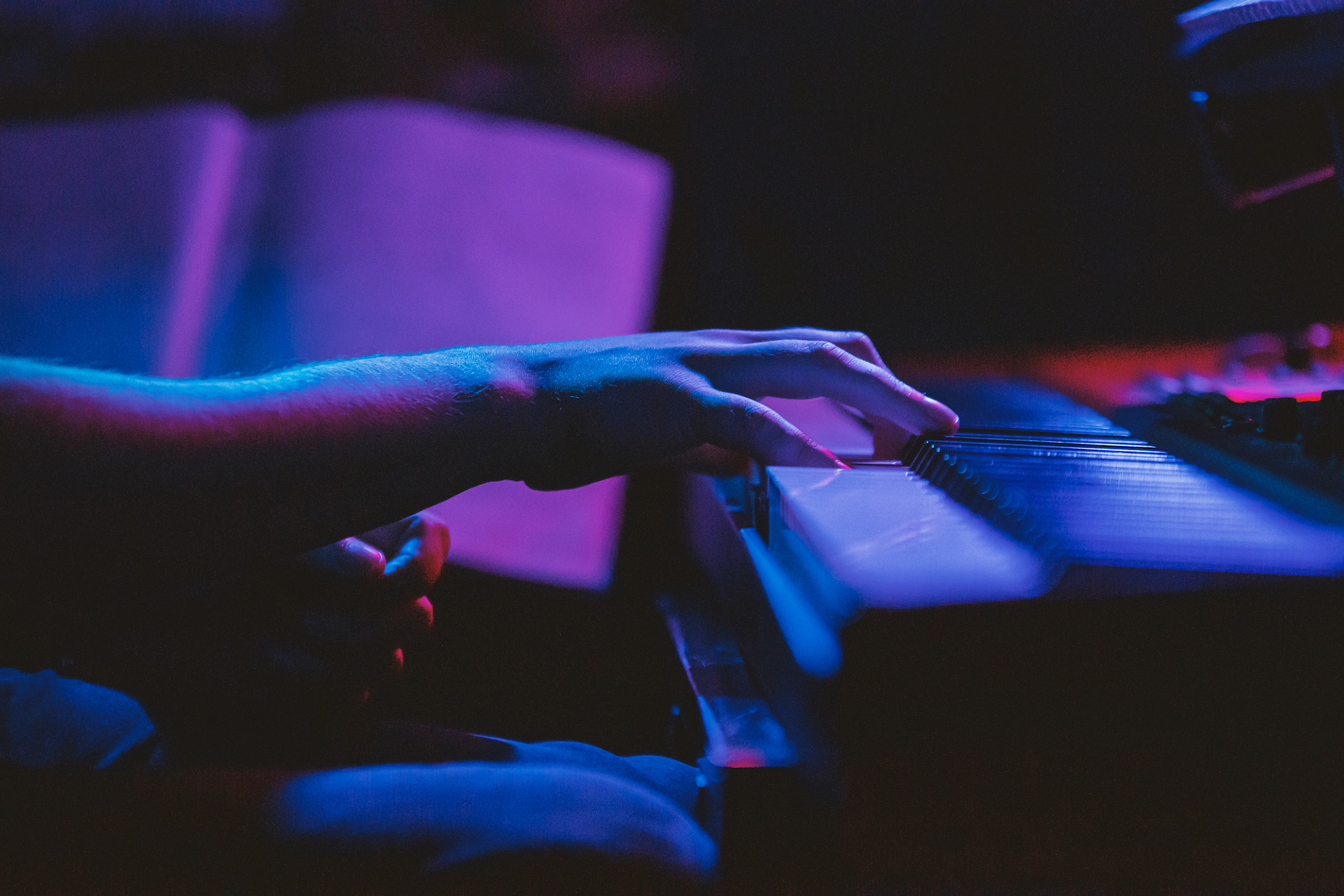 fot. Szymon Konieczny © Colorblind 2019 - koncert Bibobit, Nowy Tomyśl