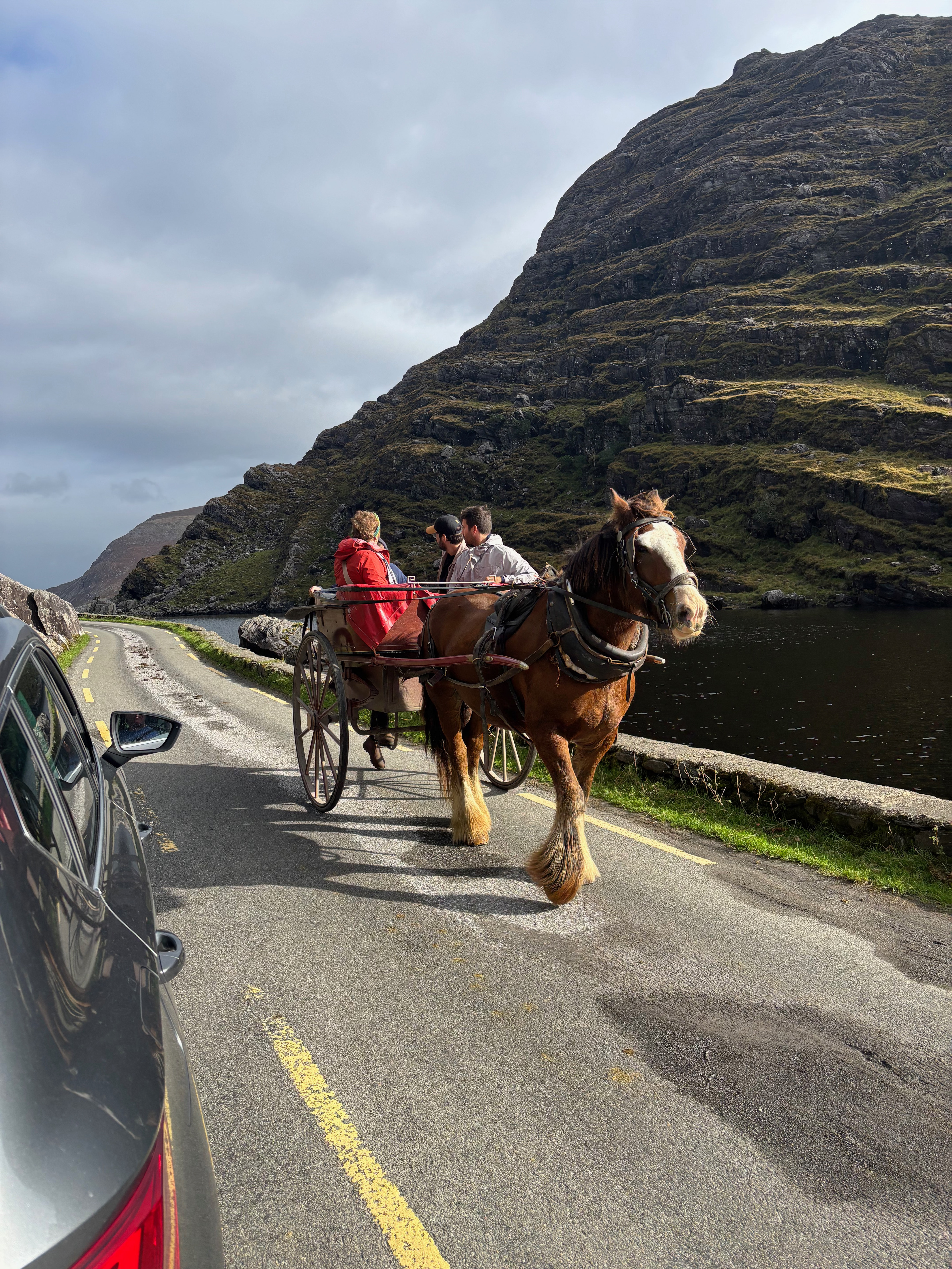 It gets crowded in Gap of Dunloe
