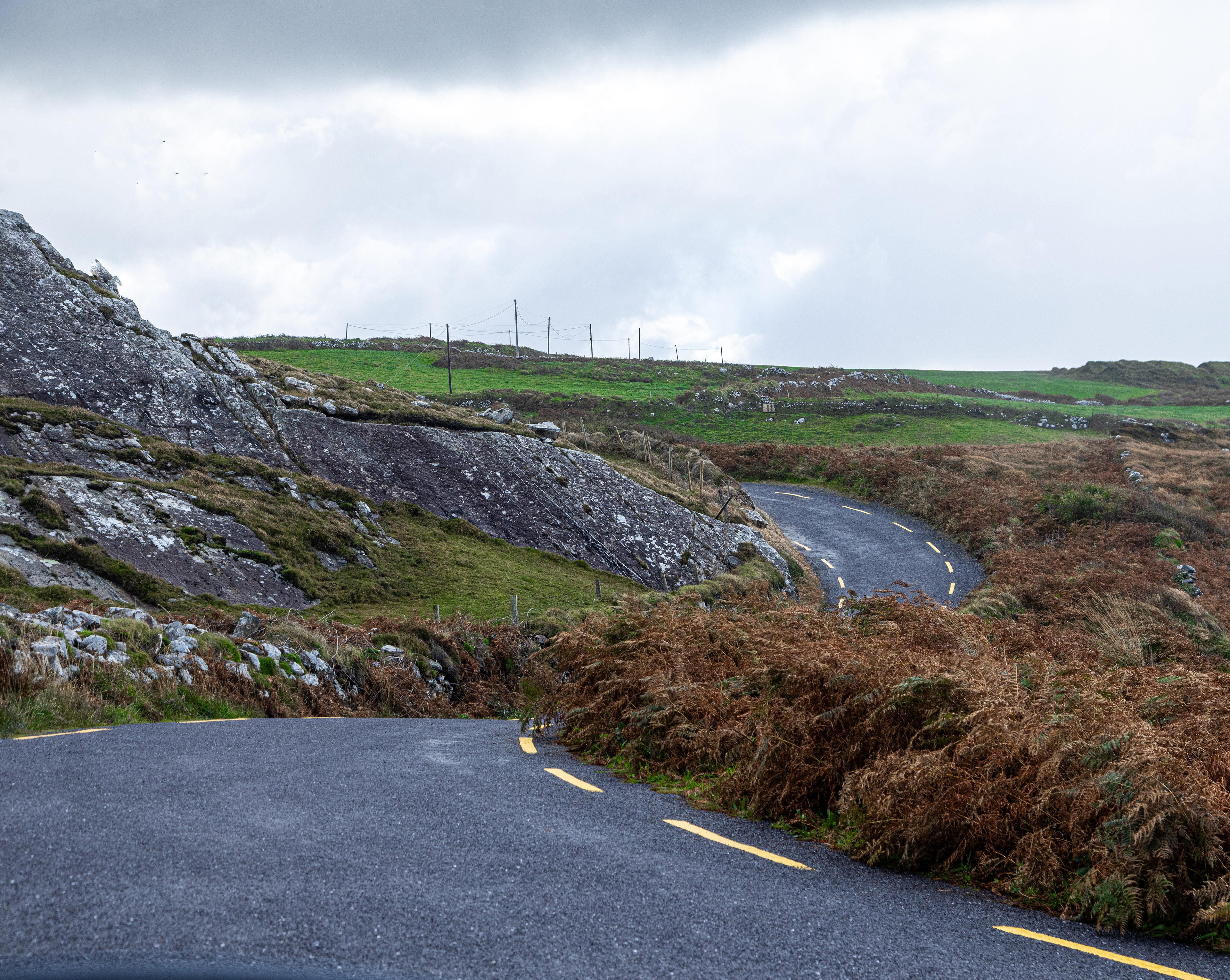 Left side. Sheep around every corner.