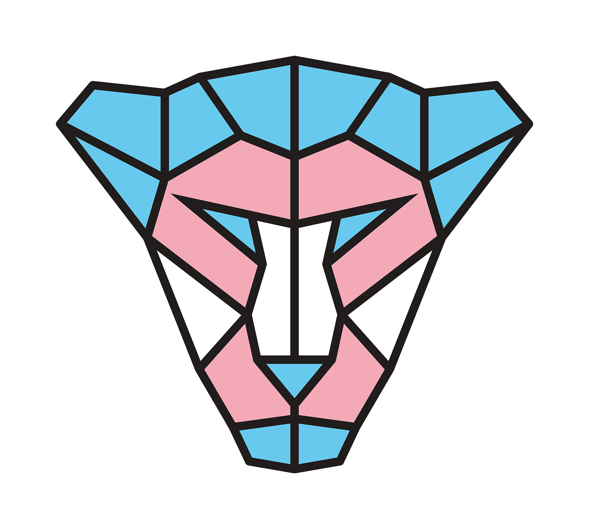 transgender courage