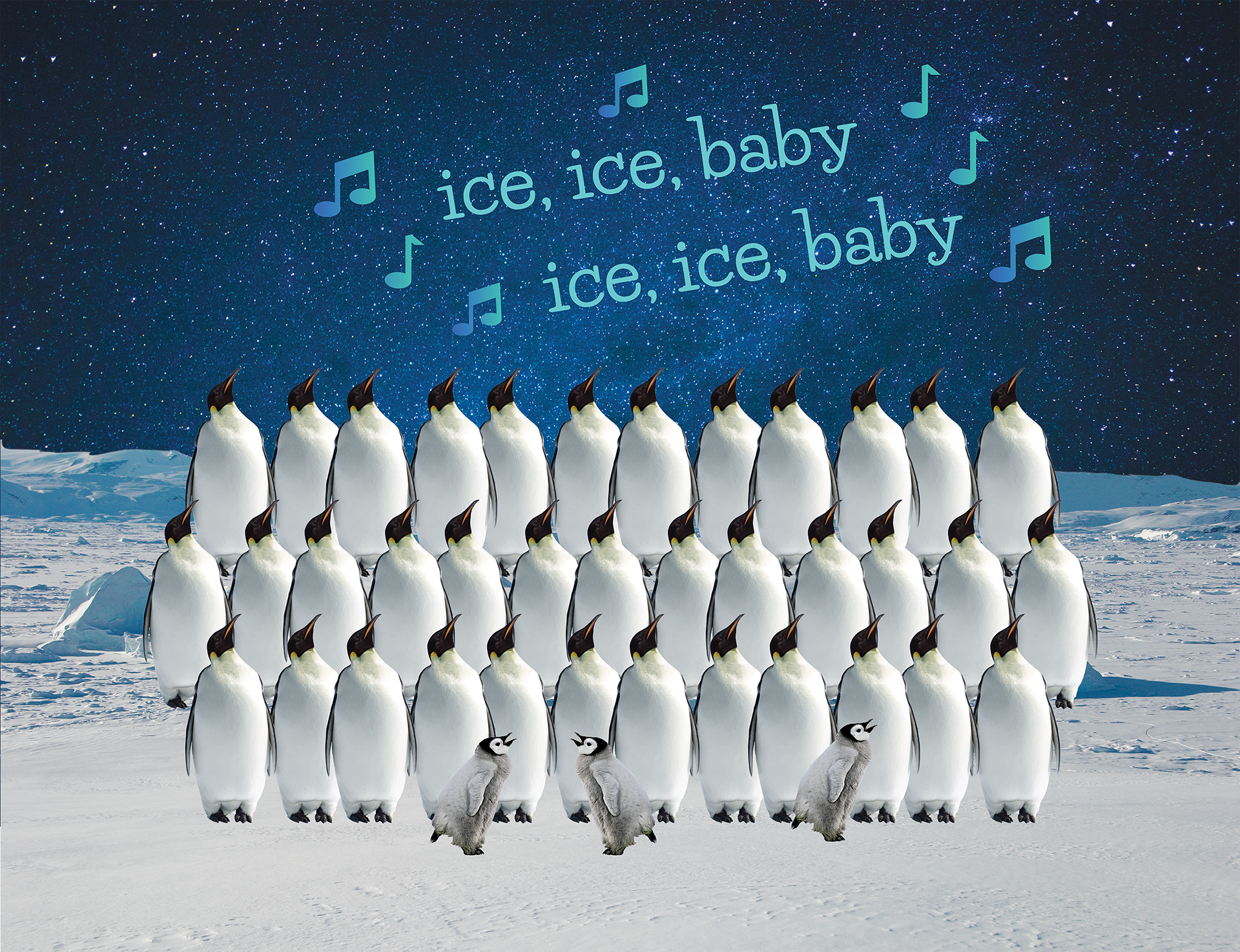 penguin choir    (yes, this is just silly)