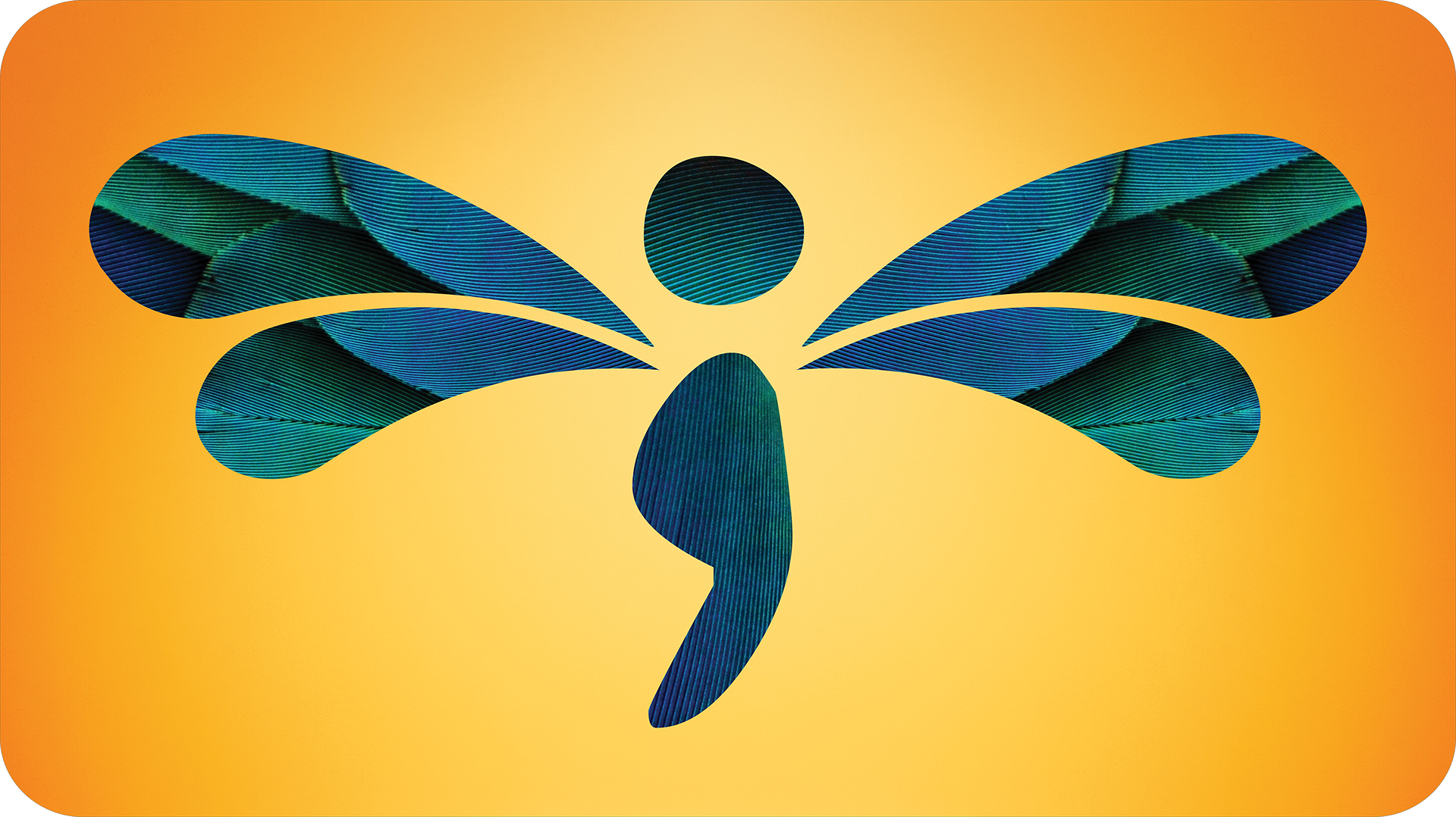 dragonfly semicolon