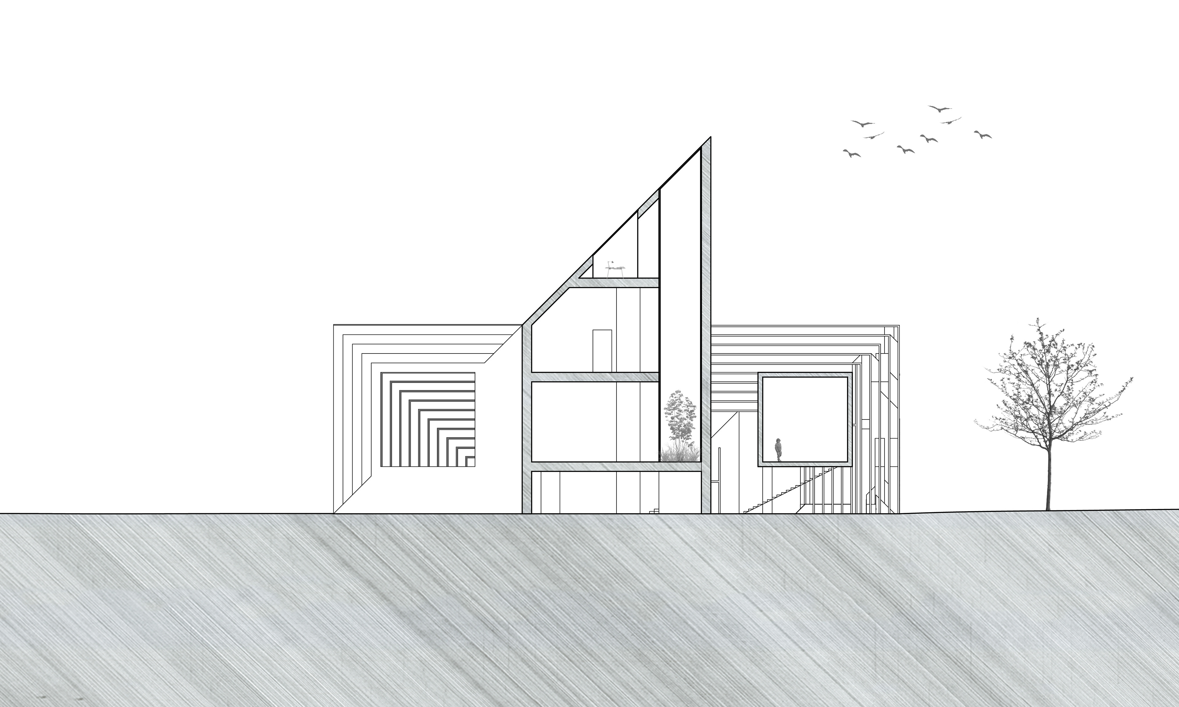 northeast elevation section