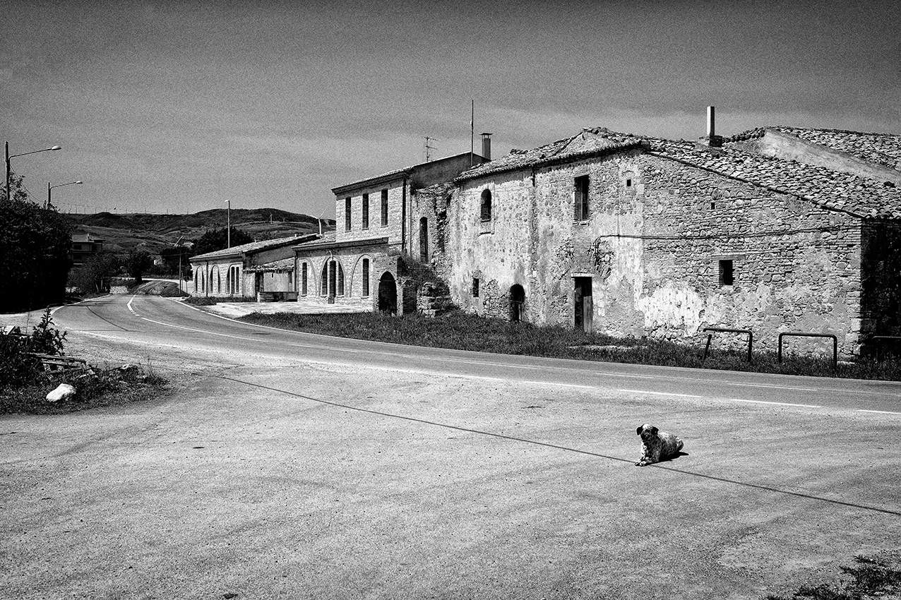 © Antonio Criscuoli
