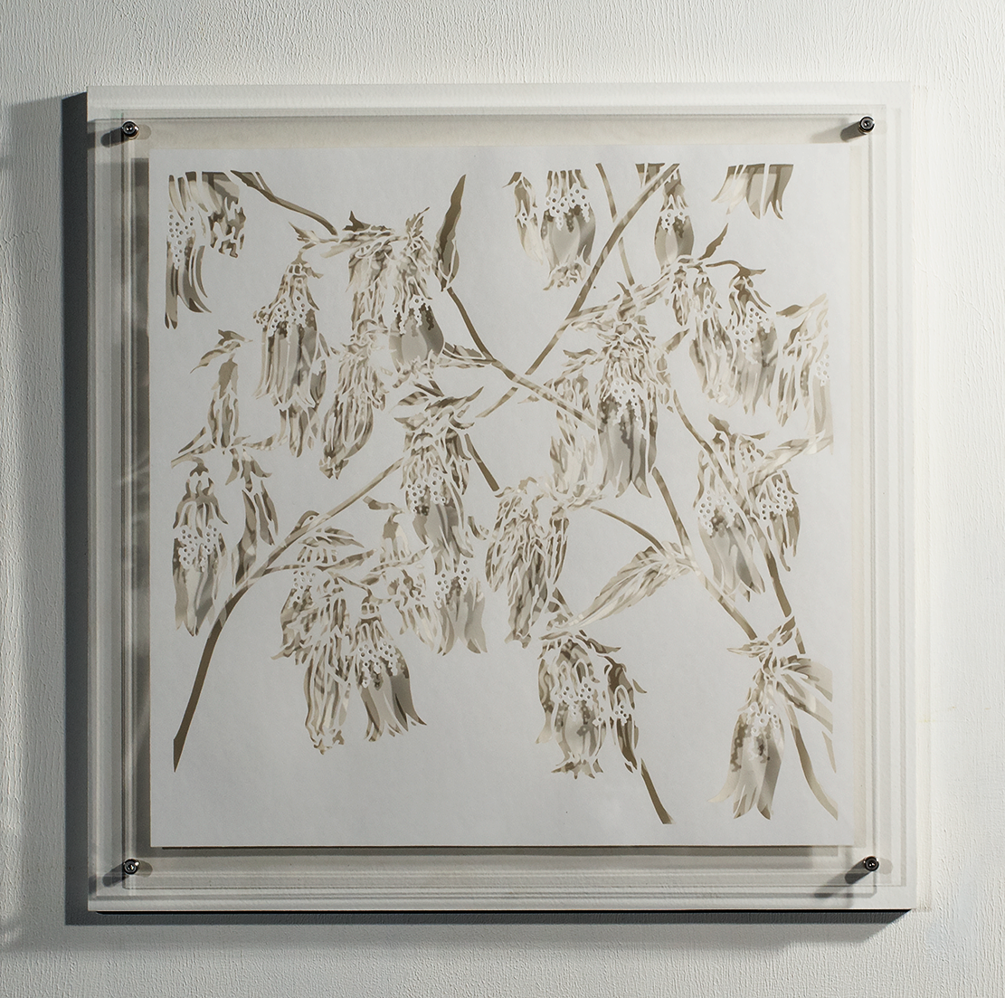 ⒸHitomi NAKAMURA 2015 'Weeds -small lives in Daiba -Campanula punctata' bamboo paper 32×32㎠ 中村儒纏『道草−台場の小さな命たち−ホタルブクロ』