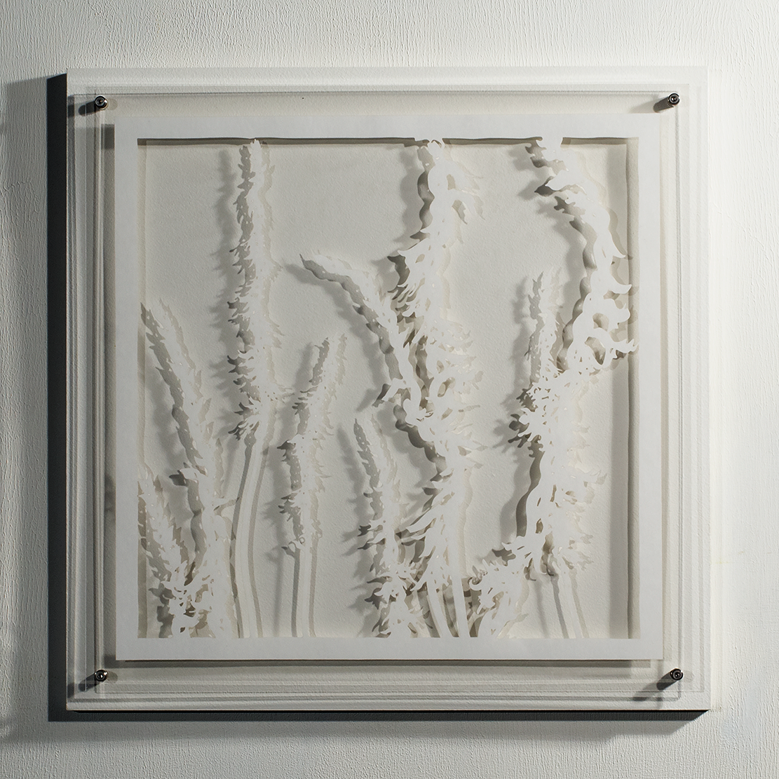 ⒸHitomi NAKAMURA 2015 'Weeds -small lives in Daiba -Spiranthes sinensis var. amoena' bamboo paper 32×32㎠ 中村儒纏『道草−台場の小さな命たち−ネジバナ』