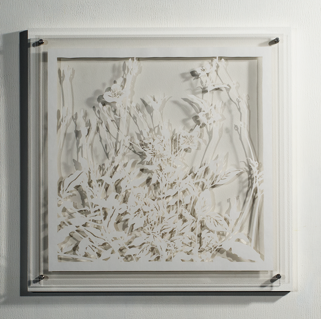 ⒸHitomi NAKAMURA 2015 'Weeds -small lives in Daiba -Oenothera rosea' bamboo paper 32×32㎠ 中村儒纏 『道草−台場の小さな命たち−ユウゲショウ』