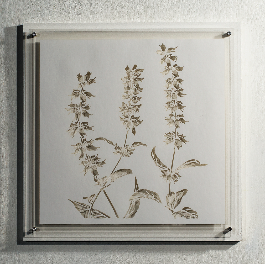 ⒸHitomi NAKAMURA 2015 'Weeds -small lives in Daiba -no name2' bamboo paper 32×32㎠ 中村儒纏『道草−台場の小さな命たち−名知らず2』