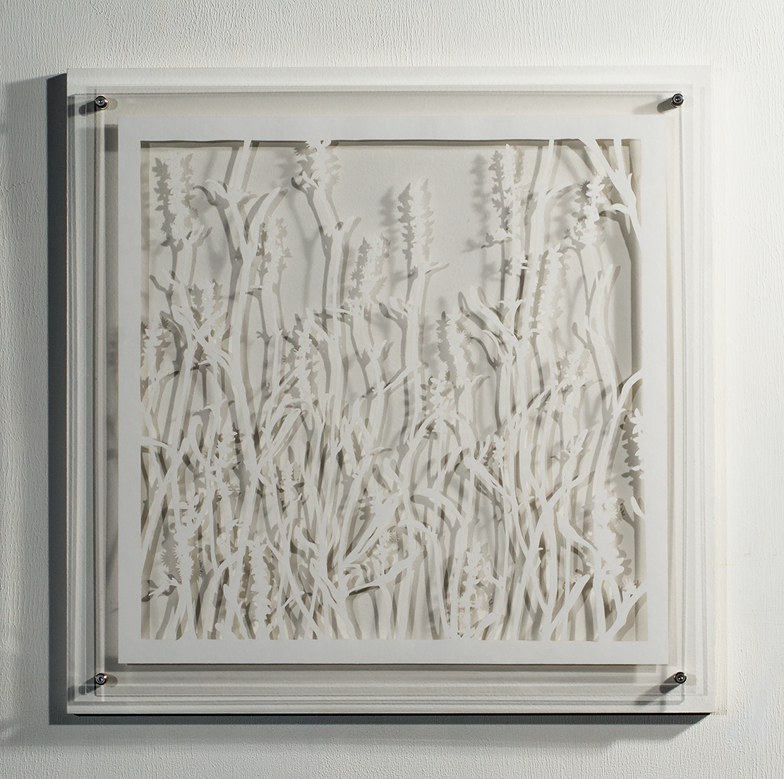 ⒸHitomi NAKAMURA 2015 'Weeds -small lives in Daiba -Gamochaeta pensylvanica' bamboo paper 32×32㎠ 中村儒纏『道草−台場の小さな命たち−チチコグサモドキ』