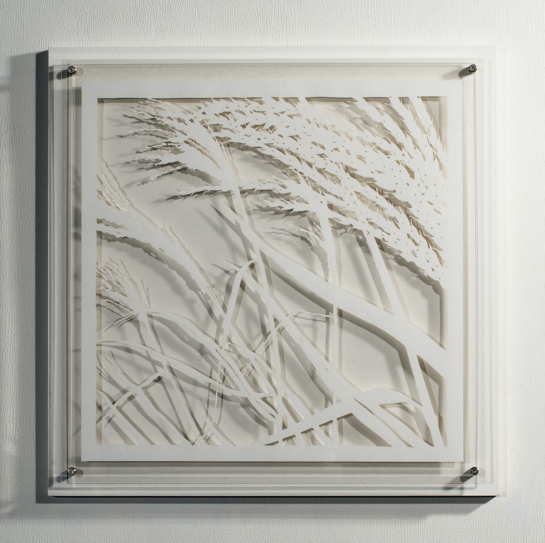 ⒸHitomi NAKAMURA 2015 Weeds -small lives in Daiba -Miscanthus sinensis' bamboo paper 32×32㎠ 中村儒纏『道草−台場の小さな命たち−ススキ』