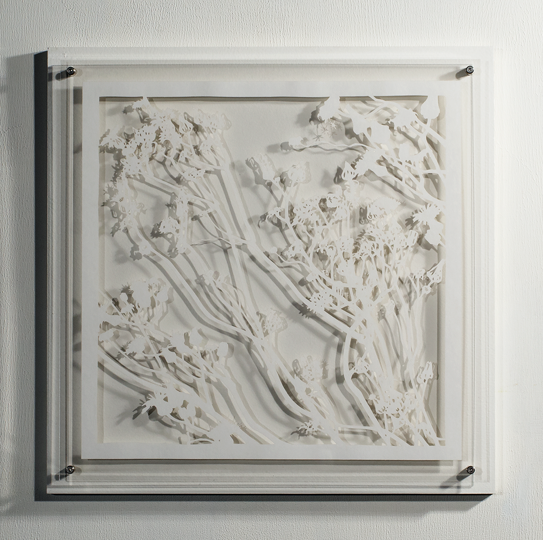 ⒸHitomi NAKAMURA 2015 'Weeds -small lives in Daiba -Sonchus oleraceus' bamboo paper 32×32㎠ 中村儒纏『道草−台場の小さな命たち−ノゲシ』