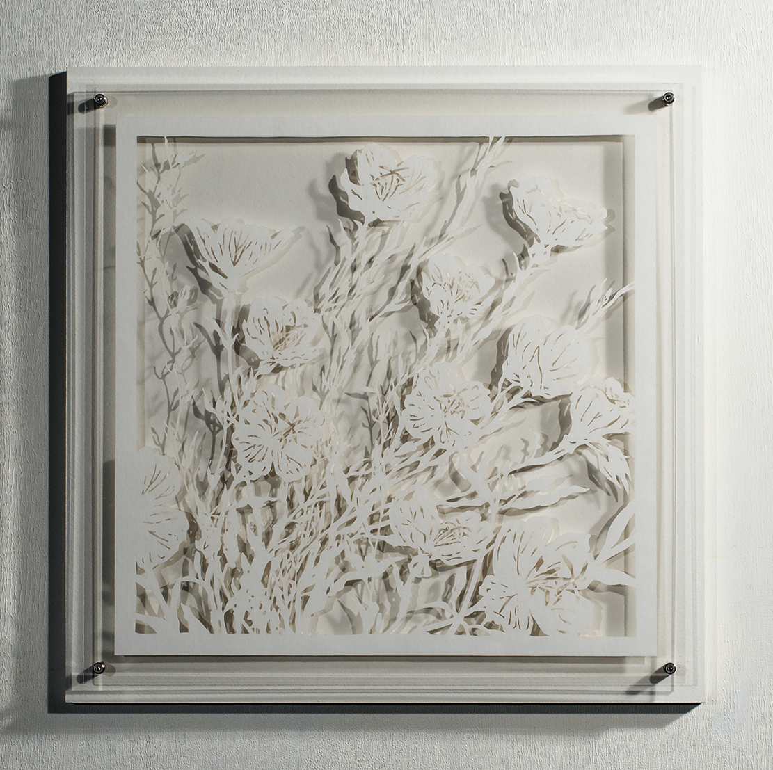 ⒸHitomi NAKAMURA 2015 'Weeds -small lives in Daiba -Oenothera speciosa' bamboo paper 32×32㎠ 中村儒纏『道草−台場の小さな命たち−ヒルザキツキミソウ』