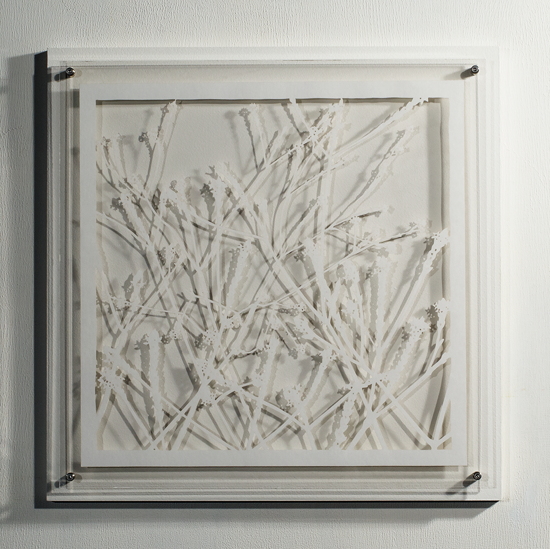ⒸHitomi NAKAMURA 2015 'Weeds -small lives in Daiba -Verbena brasiliensis' bamboo paper 32×32㎠ 中村儒纏『道草−台場の小さな命たち−アレチハナガサ』