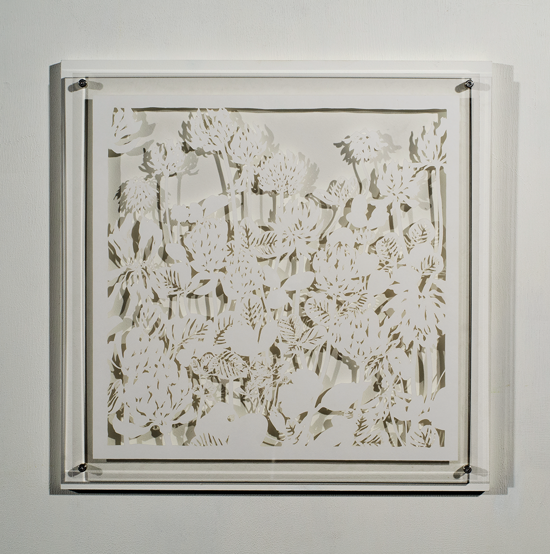 ⒸHitomi NAKAMURA 2015'Weeds -small lives in Daiba -Trifolium repens' bamboo paper 32×32㎠ 中村儒纏『道草−台場の小さな命たち−シロツメクサ』