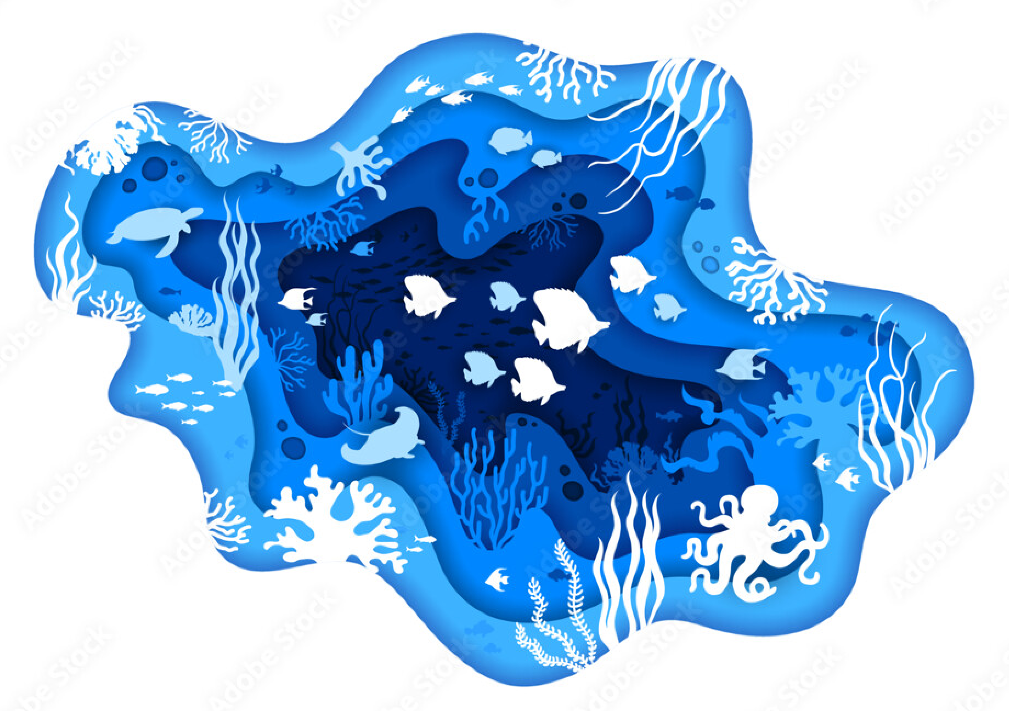 Reference Image