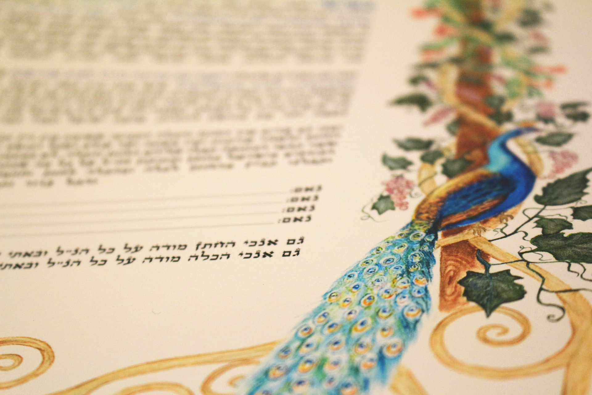 Ani Ledodi Ketubah 2008