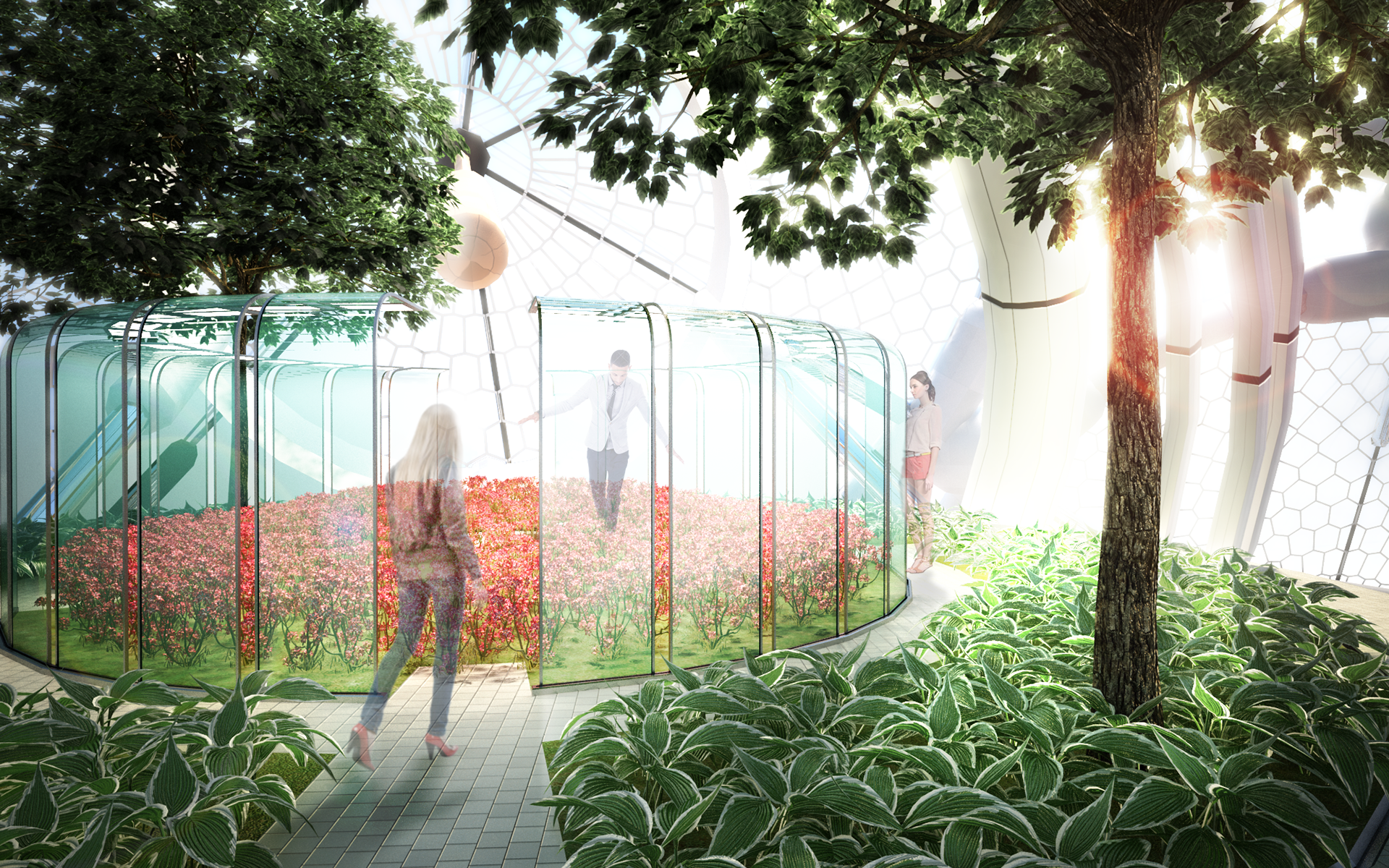 Each Greenhouse Provides Proper Environment for Plant Growth.