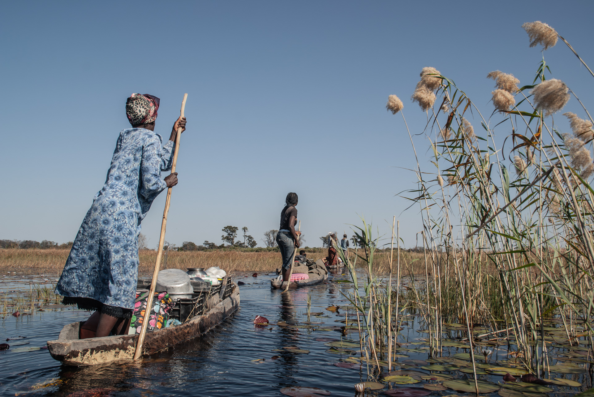 Travel by 'mokoro' (canoe) in the Okavango Delta