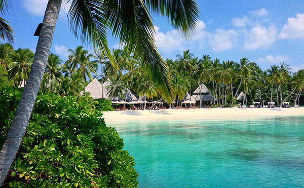 Island shoot