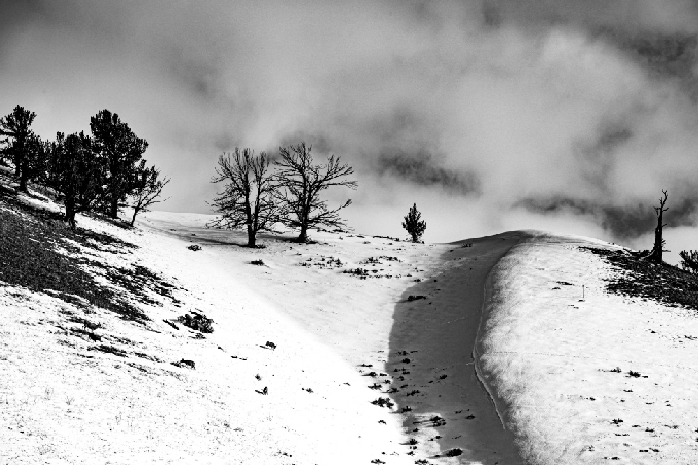 Photographe © Marchais Yves