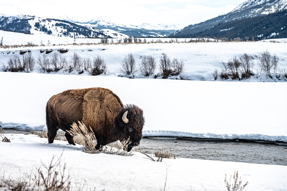 Photographe © Yves Marchais