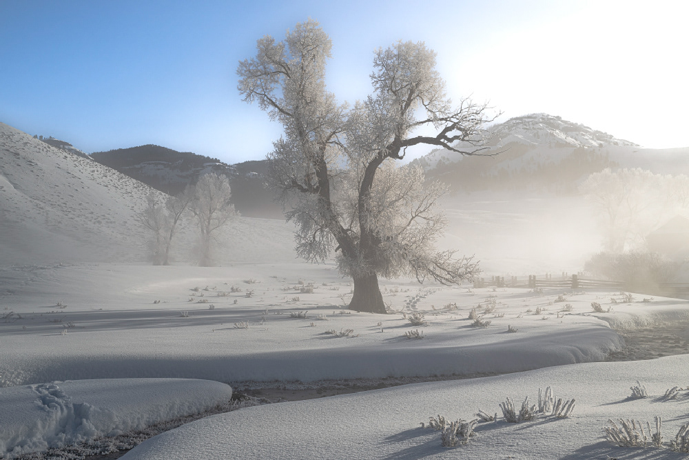 Photographe © Yves Marchais