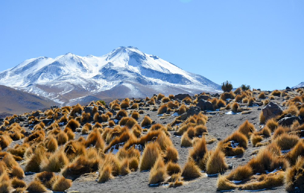 Photographe © Marie-Claude Abeillé