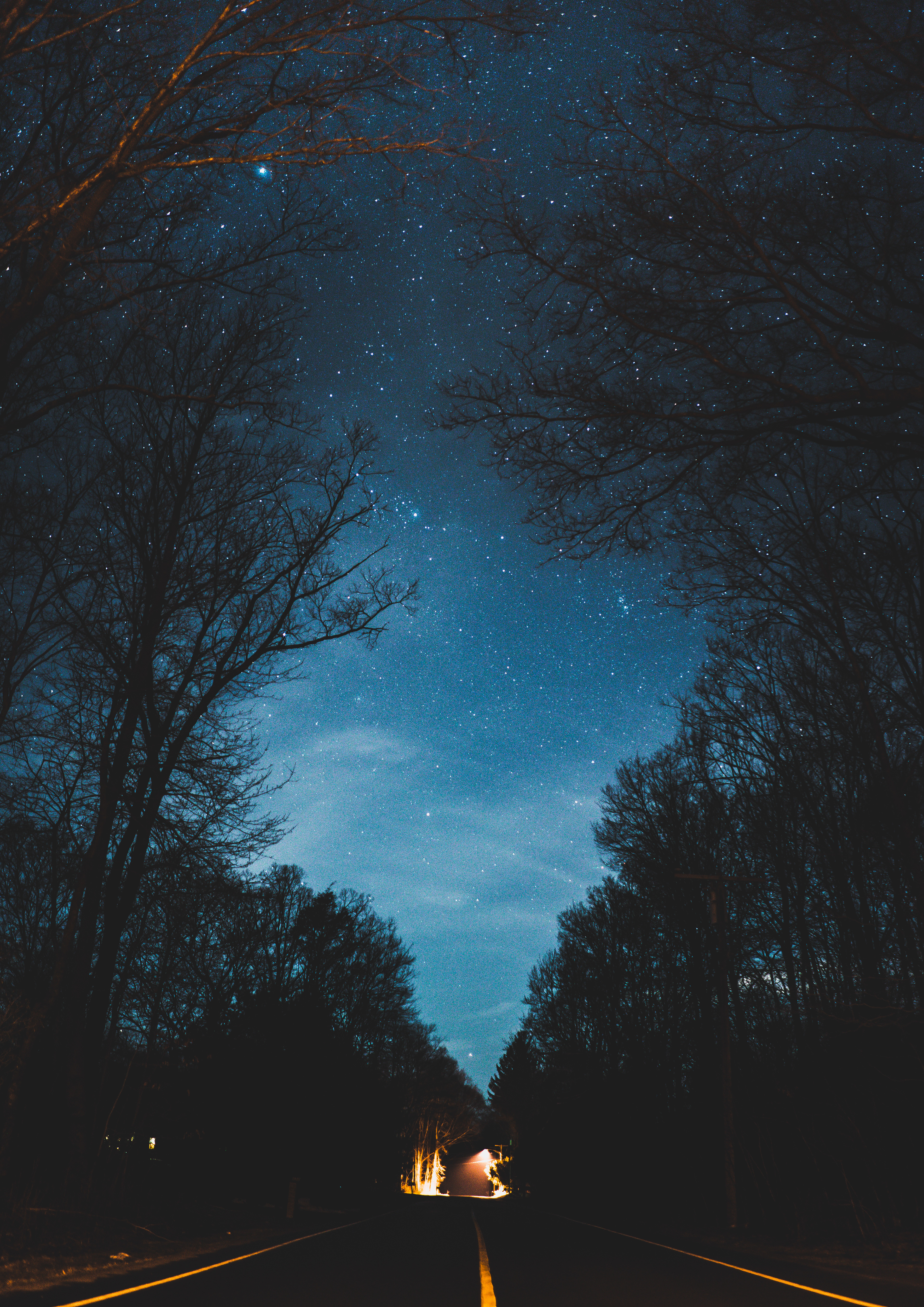 Starry Night