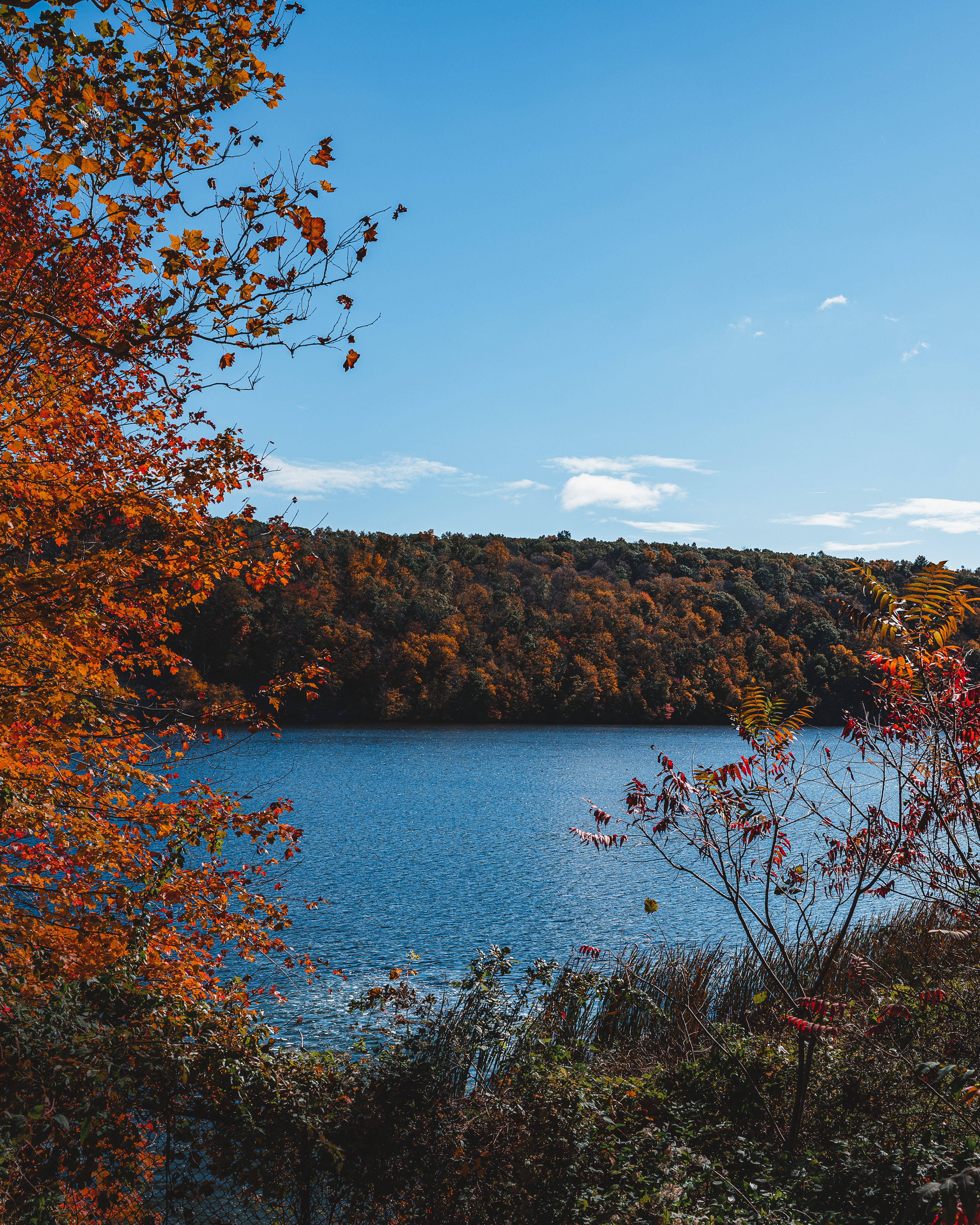 New England Fall