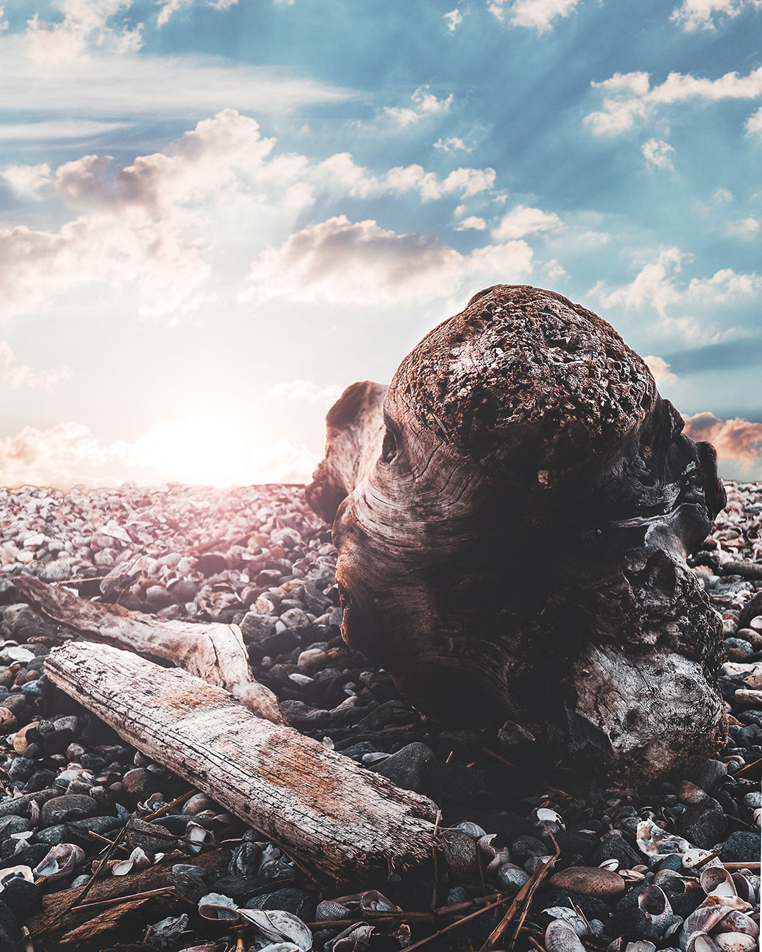 Beached