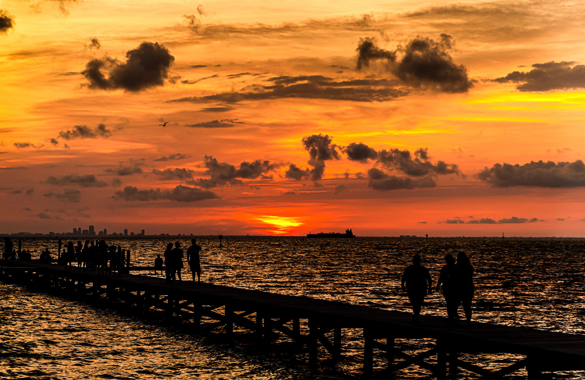 "Sunset" Sunset Grill / Ruskin, Florida / 2020