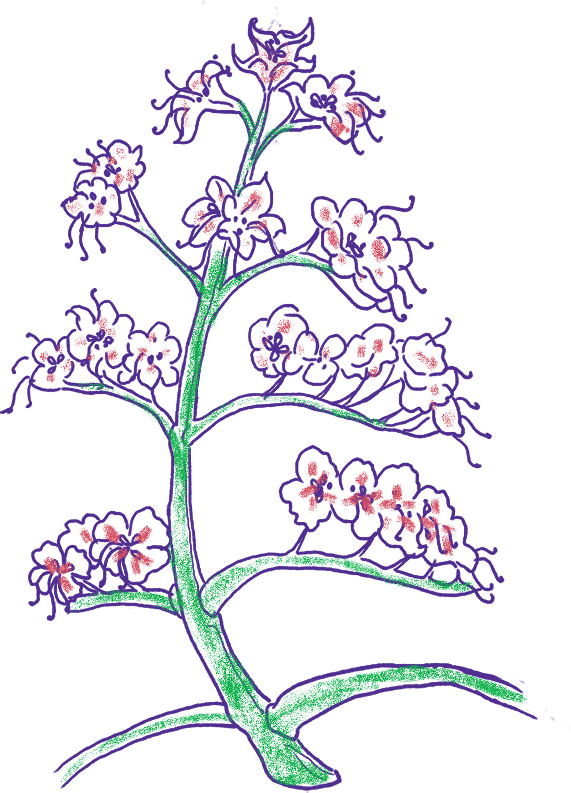 Horse chestnut flowers (candle)