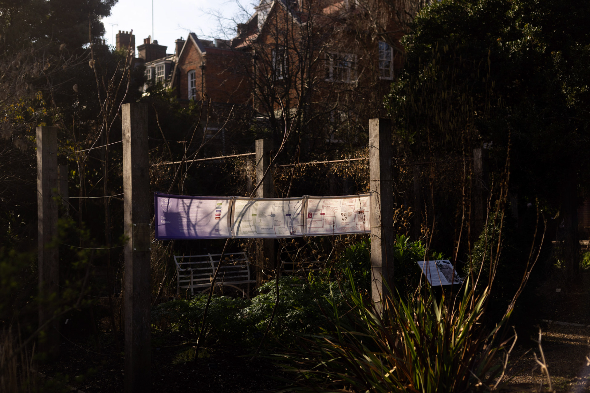 Time Rhizome display, Photo by Fikayo Adebajo