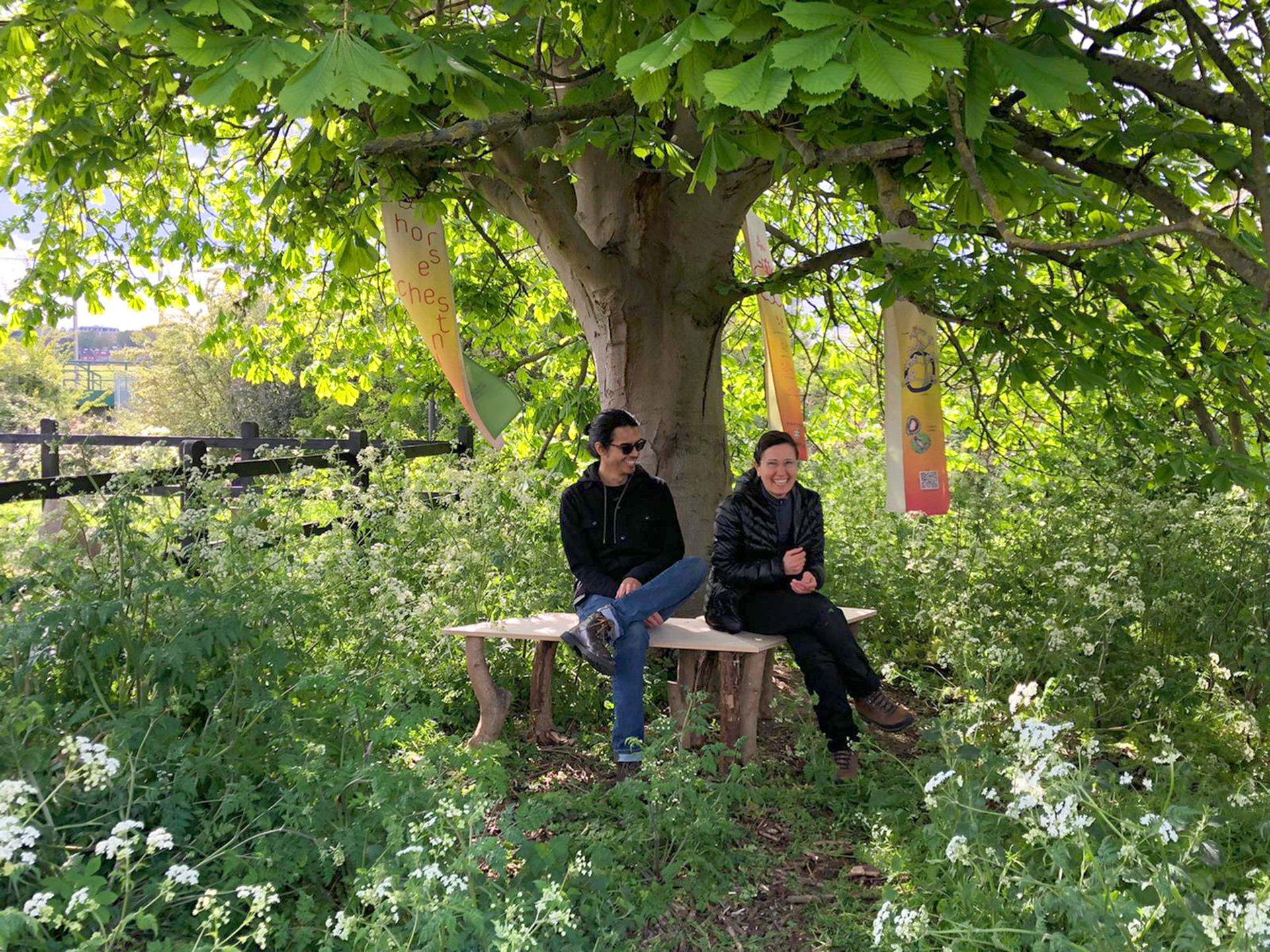 Horse chestnut display with benches, Photo by Lucy Hayhoe