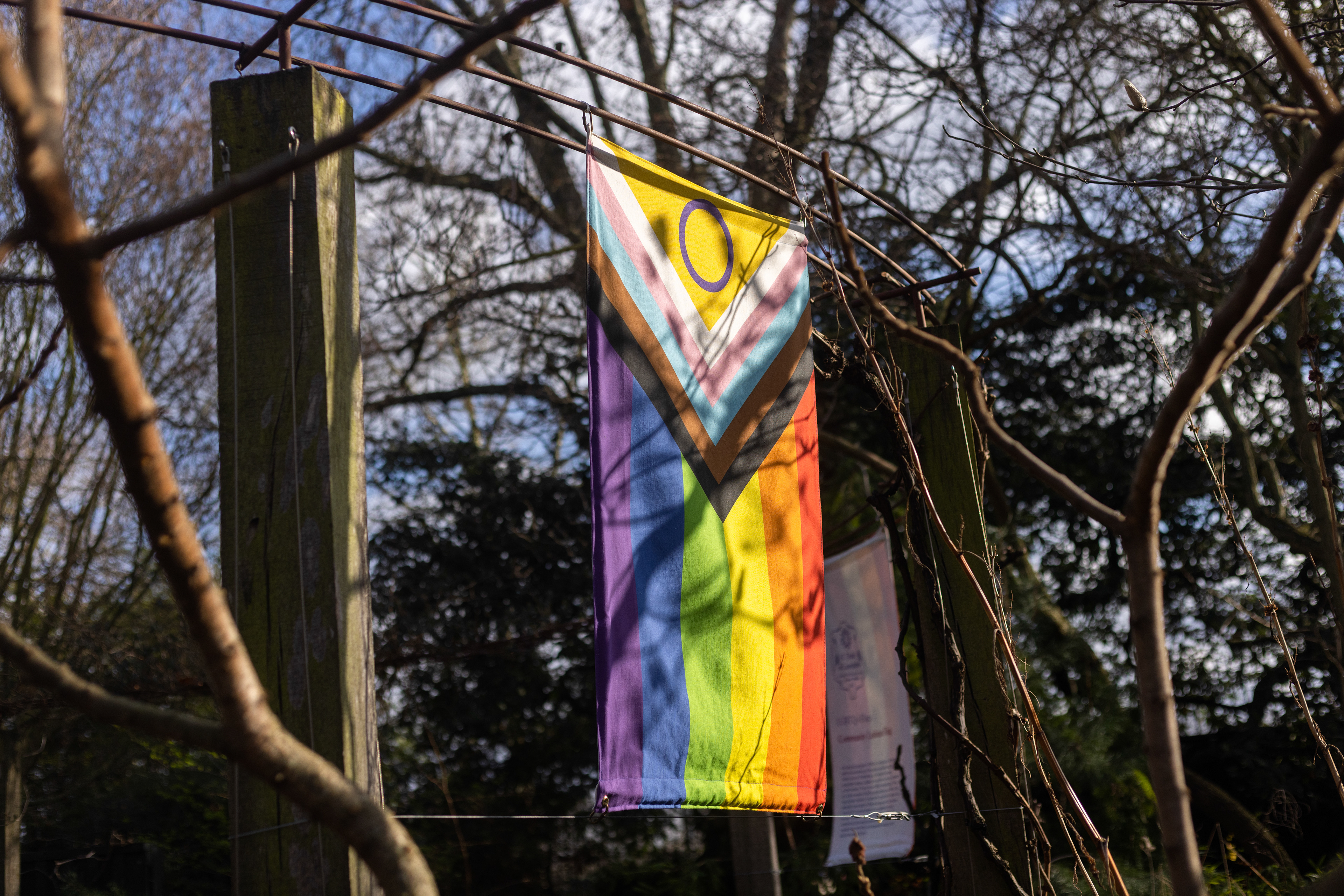 LGBTQ+ Flags, Photo by Fikayo Adebajo