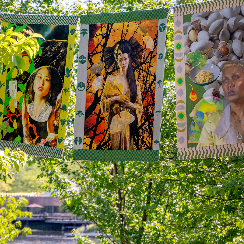 Photo courtesy of Chicago Botanic Garden