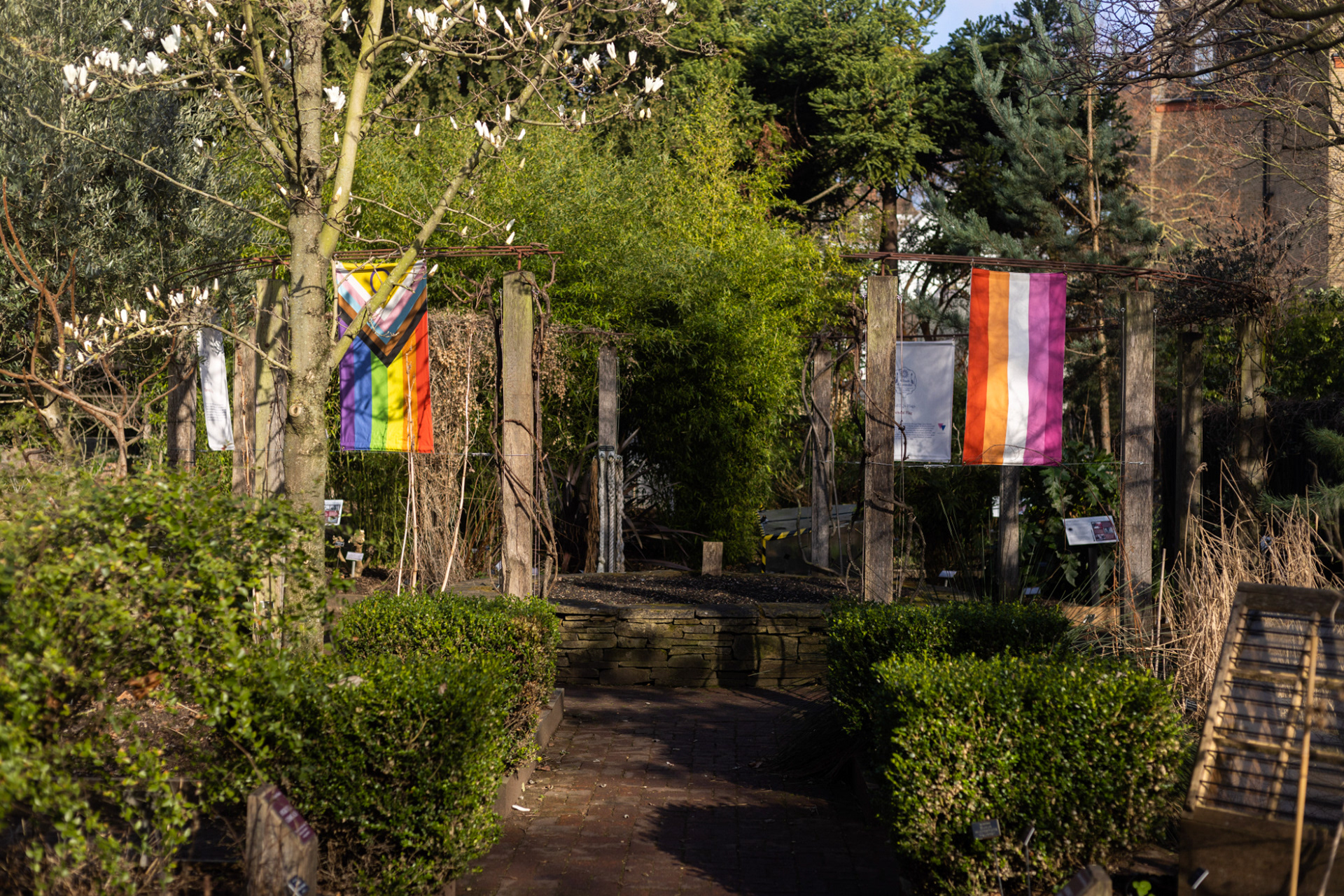 LGBTQ+ Flags display, Photo by Fikayo Adebajo