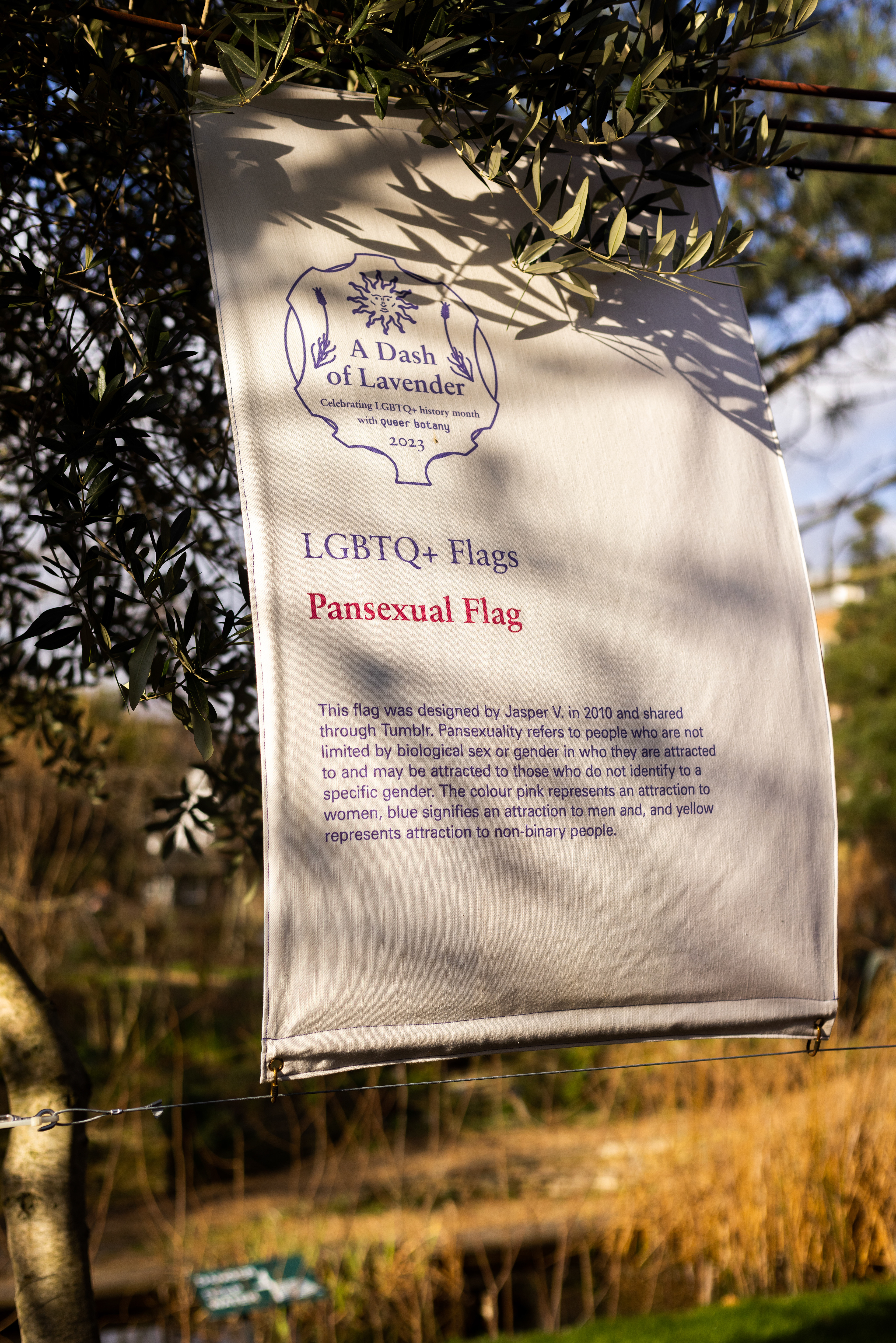LGBTQ+ Flags, Photo by Fikayo Adebajo