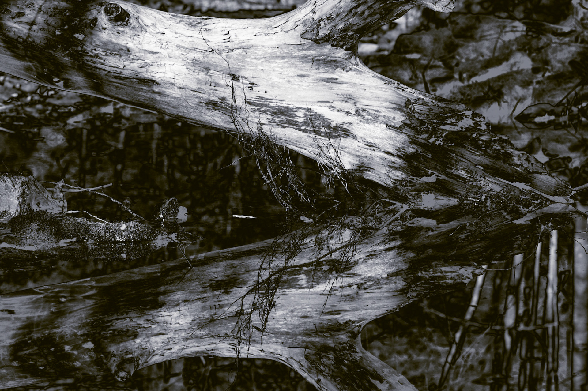 Ambiguous Reflections