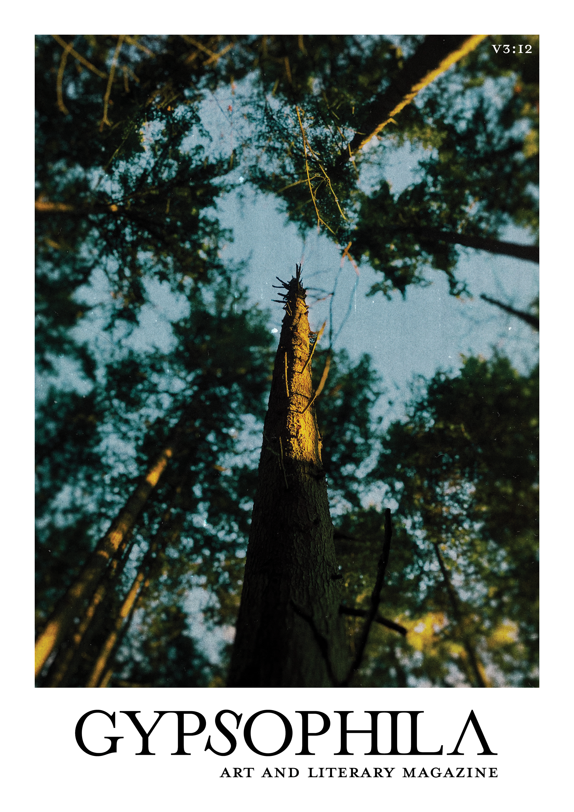 Volume 3: Issue 2 cover
