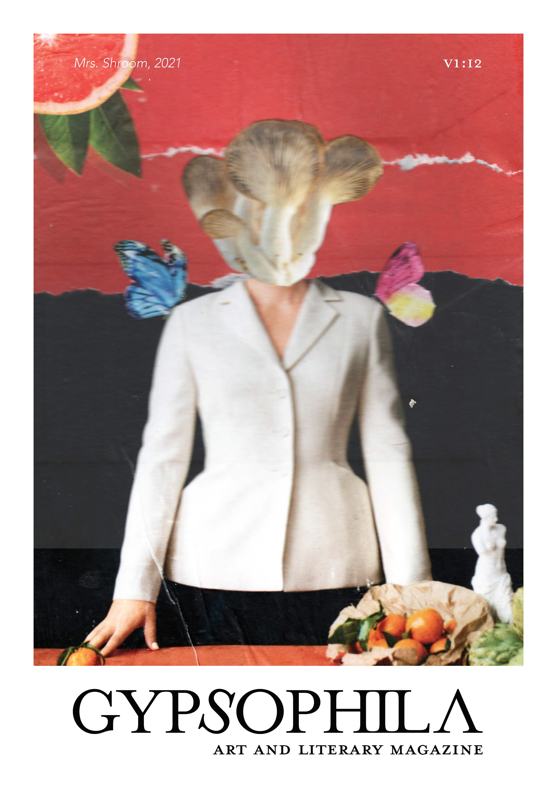 Volume 1: Issue2 cover